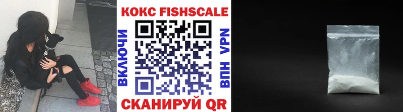 OMG   наркотики  shop формула  Cocaine Fish Scale  Лесной 