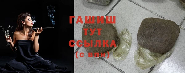 гашик Алексин