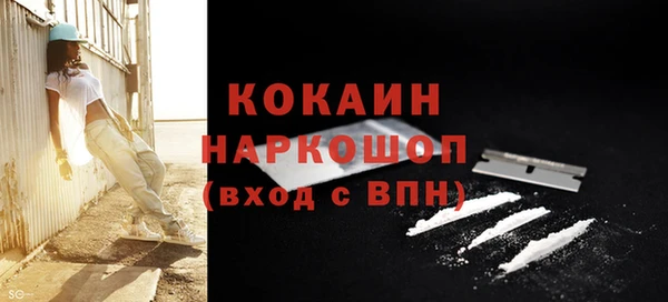 гашик Алексин