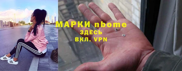 гашик Алексин
