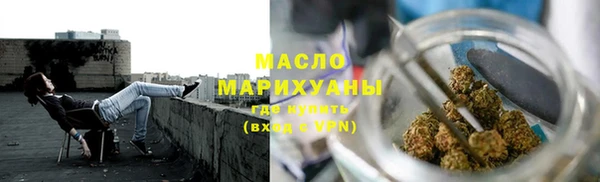 молекула духа Ладушкин