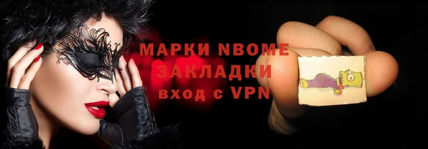 гашик Алексин