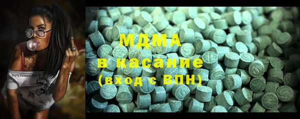 гашик Алексин