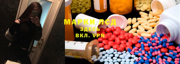 гашик Алексин