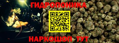 таблы Гусев