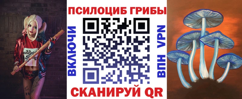 Псилоцибиновые грибы Psilocybine cubensis  что такое наркотик  Лесной 