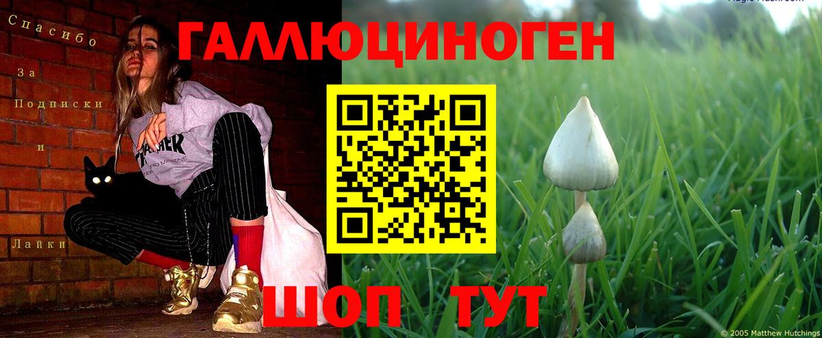 Галлюциногенные грибы Psilocybine cubensis  Галлюциногенные грибы мухоморы  Лесной  Вход с VPN 