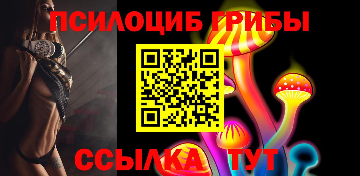 Псилоцибиновые грибы Psilocybine cubensis Лесной